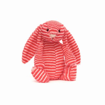 Jellycat Bashful Evey Bunnies Australia | 716398CHJ